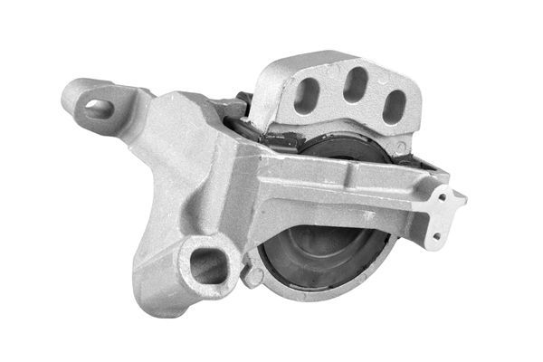 Variklio montavimas TEDGUM TED54109