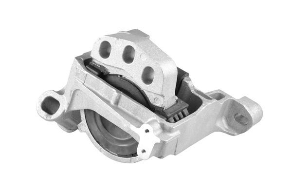 Variklio montavimas TEDGUM TED54109