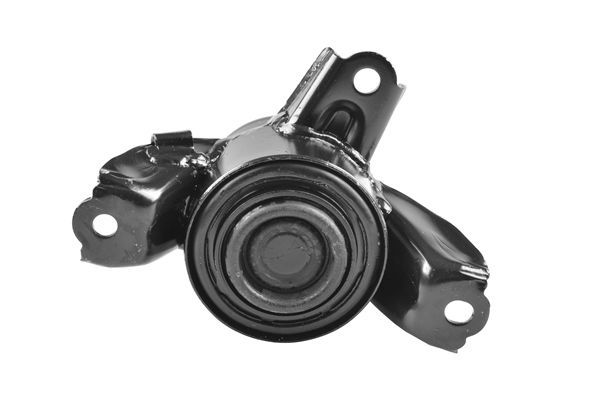 Variklio montavimas TEDGUM TED55519