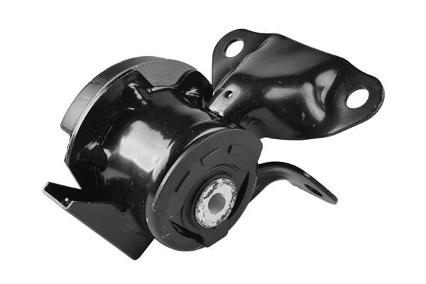 Variklio montavimas TEDGUM TED55713