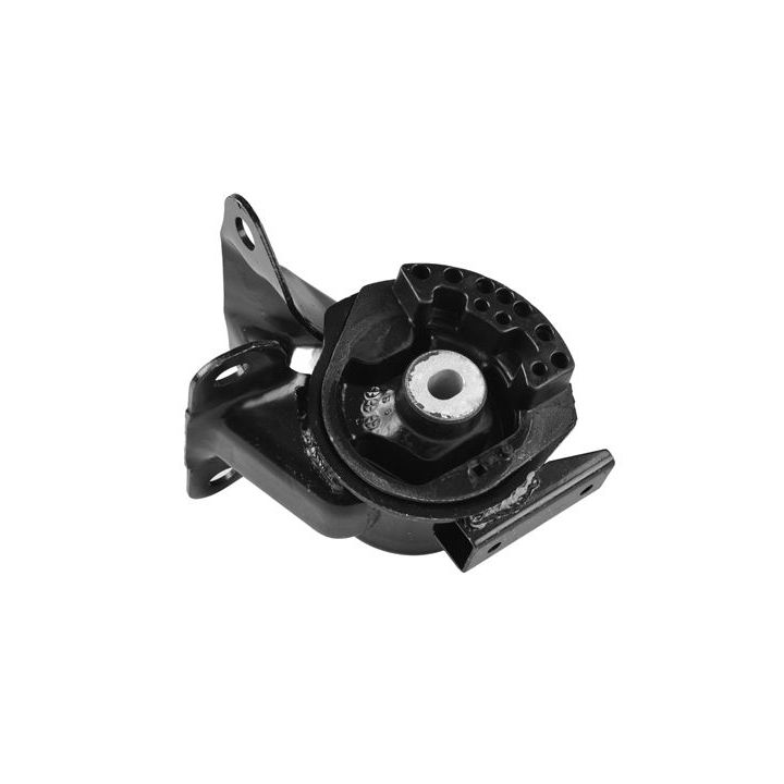 Variklio montavimas TEDGUM TED55713