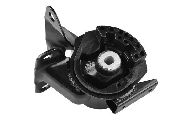 Variklio montavimas TEDGUM TED55713