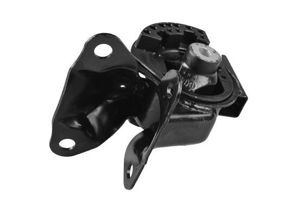 Variklio montavimas TEDGUM TED55713