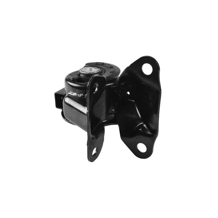 Variklio montavimas TEDGUM TED55713