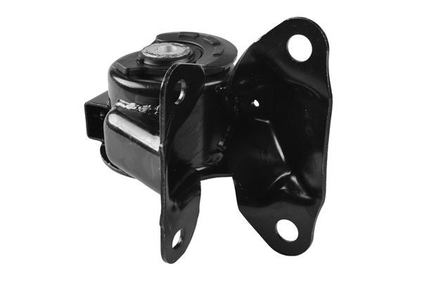 Variklio montavimas TEDGUM TED55713