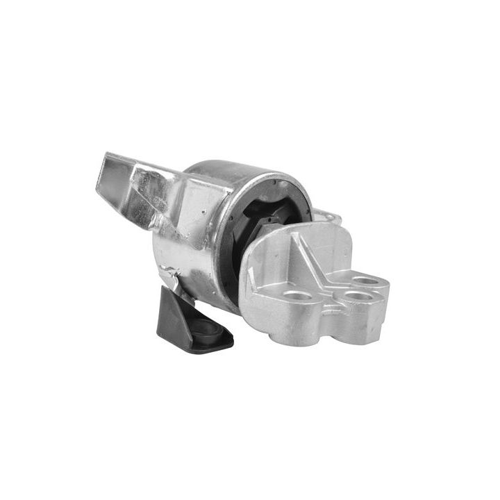 Variklio montavimas TEDGUM TED57057