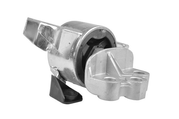 Variklio montavimas TEDGUM TED57057