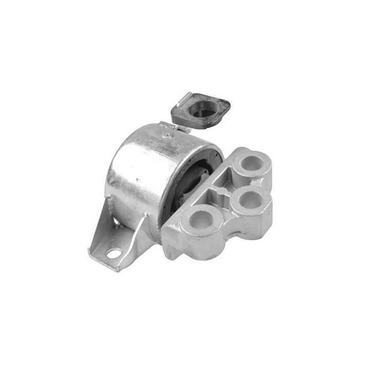 Variklio montavimas TEDGUM TED57057