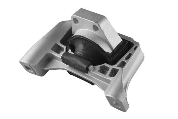 Variklio montavimas TEDGUM TED57572