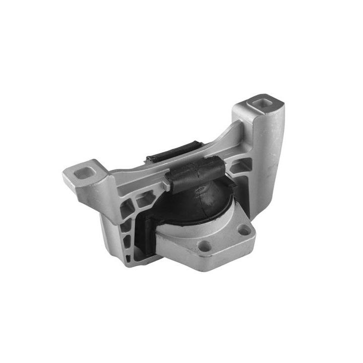 Variklio montavimas TEDGUM TED57572