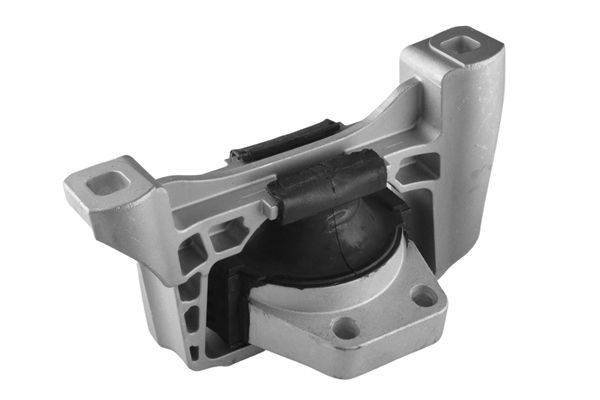 Variklio montavimas TEDGUM TED57572