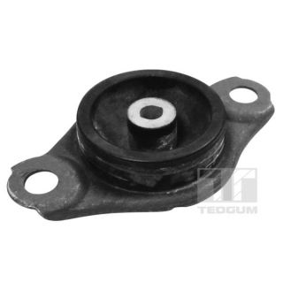 Variklio montavimas TEDGUM TED58229