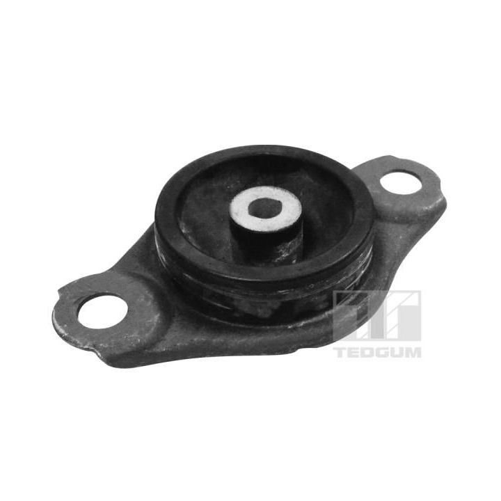 Variklio montavimas TEDGUM TED58229