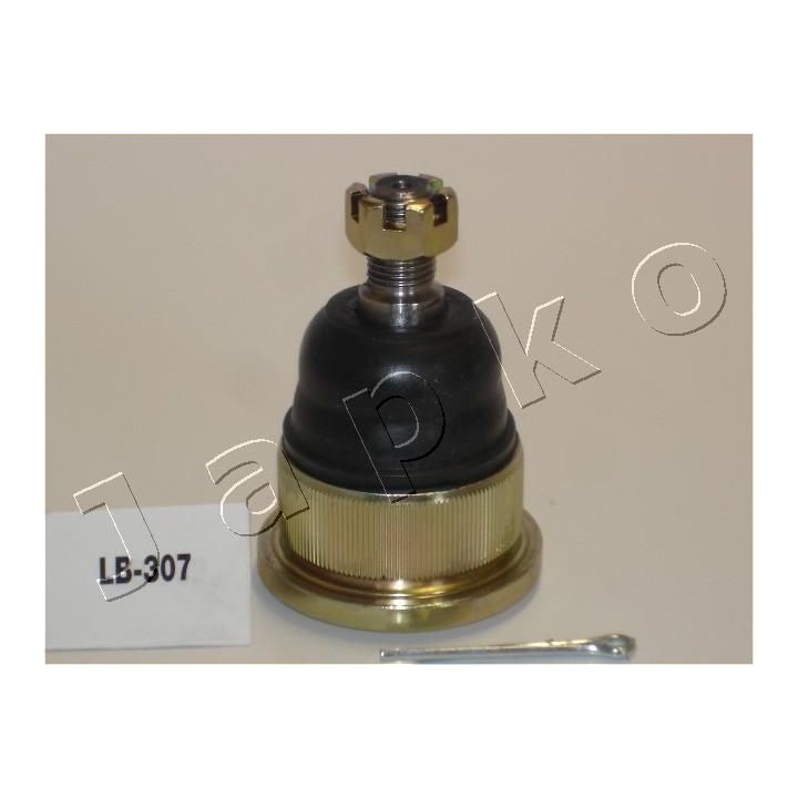 Šarnyras / girgždukas JAPKO 53307