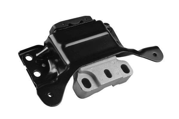 Variklio montavimas TEDGUM TED64130