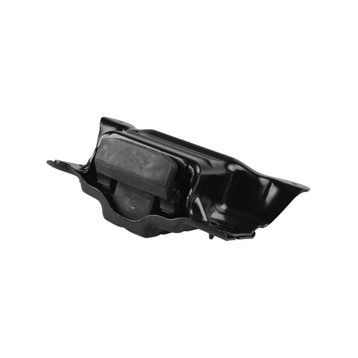 Variklio montavimas TEDGUM TED64130