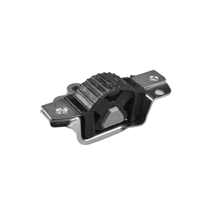 Variklio montavimas TEDGUM TED66381