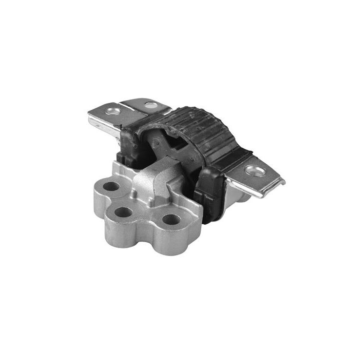 Variklio montavimas TEDGUM TED66381