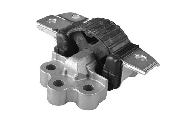 Variklio montavimas TEDGUM TED66381