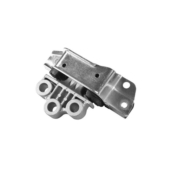 Variklio montavimas TEDGUM TED66381