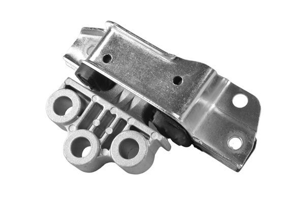 Variklio montavimas TEDGUM TED66381