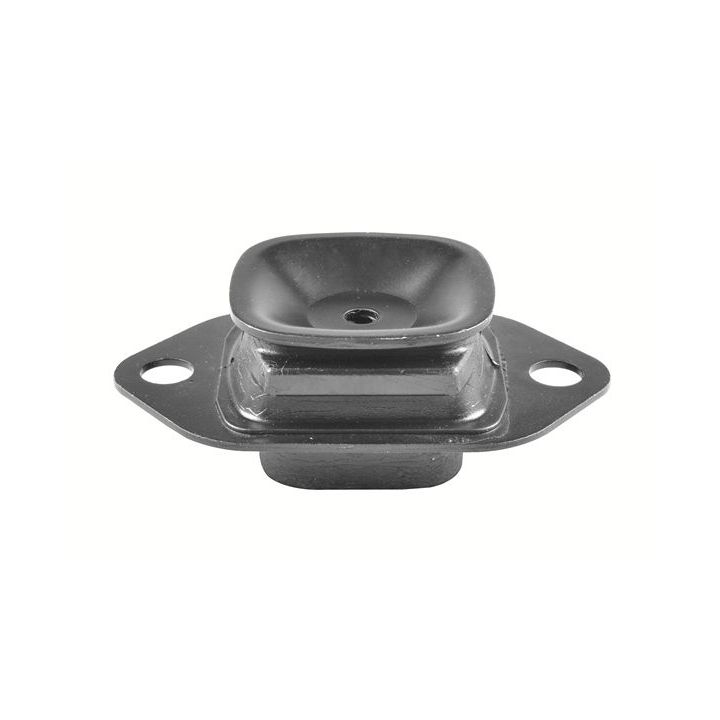 Variklio montavimas TEDGUM TED66410