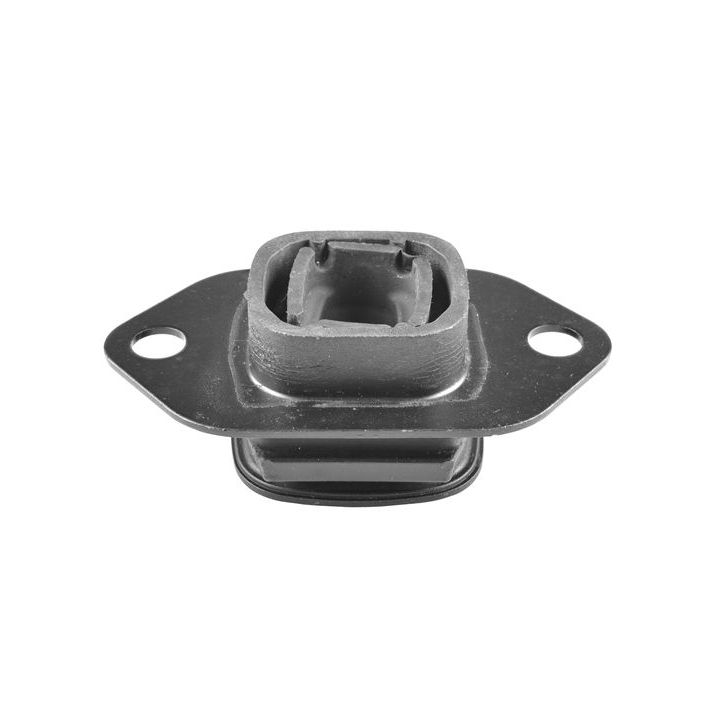 Variklio montavimas TEDGUM TED66410