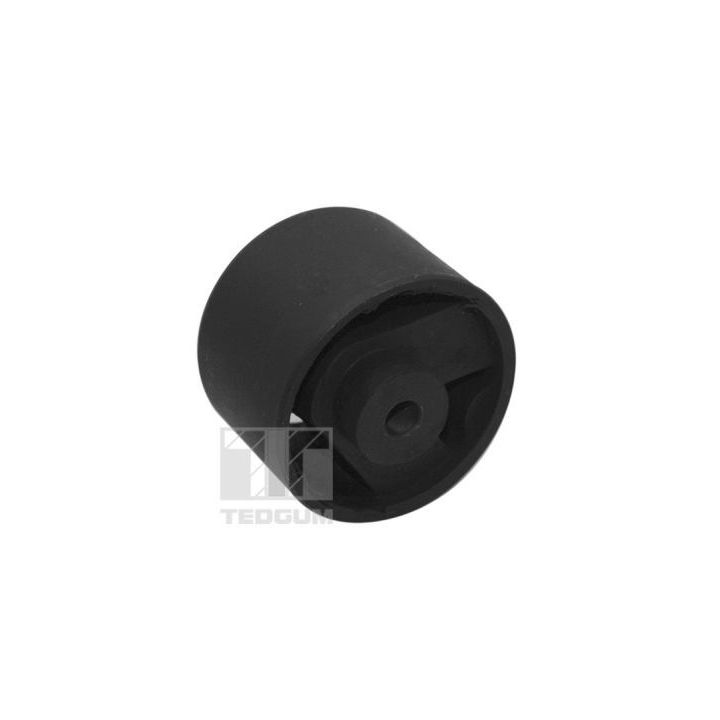 Variklio montavimas TEDGUM TED69999