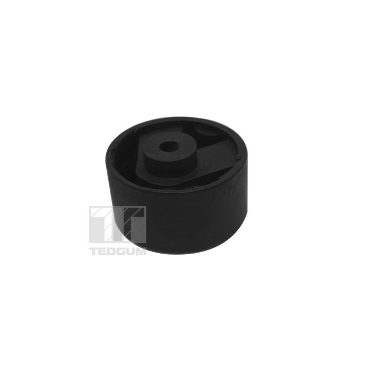 Variklio montavimas TEDGUM TED69999