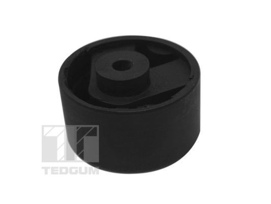 Variklio montavimas TEDGUM TED69999