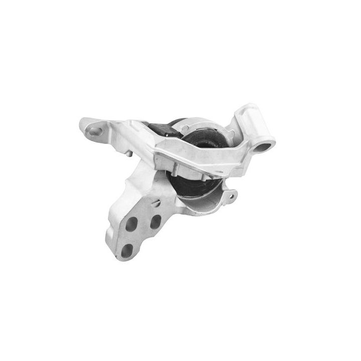 Variklio montavimas TEDGUM TED72820