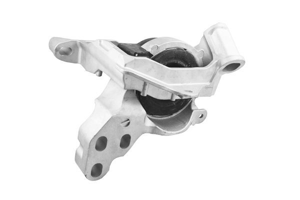 Variklio montavimas TEDGUM TED72820