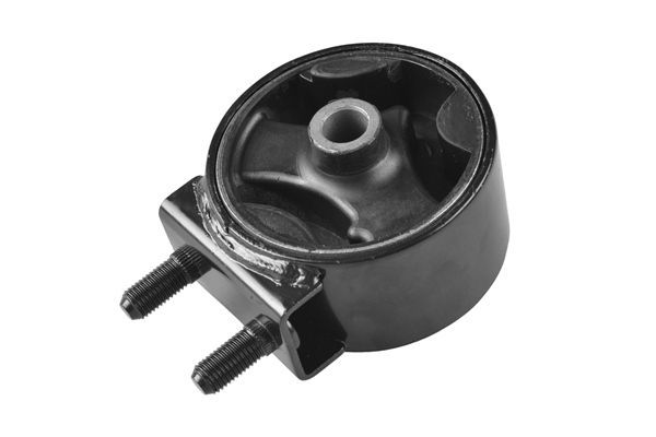 Variklio montavimas TEDGUM TED75649