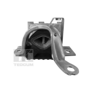 Variklio montavimas TEDGUM TED83397