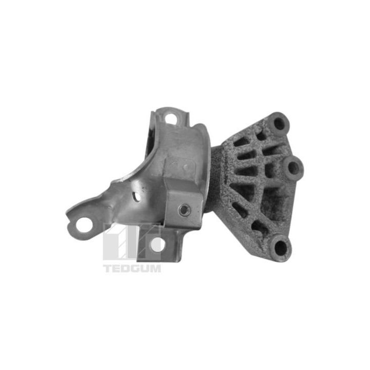Variklio montavimas TEDGUM TED83397