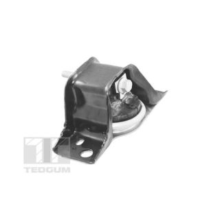 Variklio montavimas TEDGUM TED84297