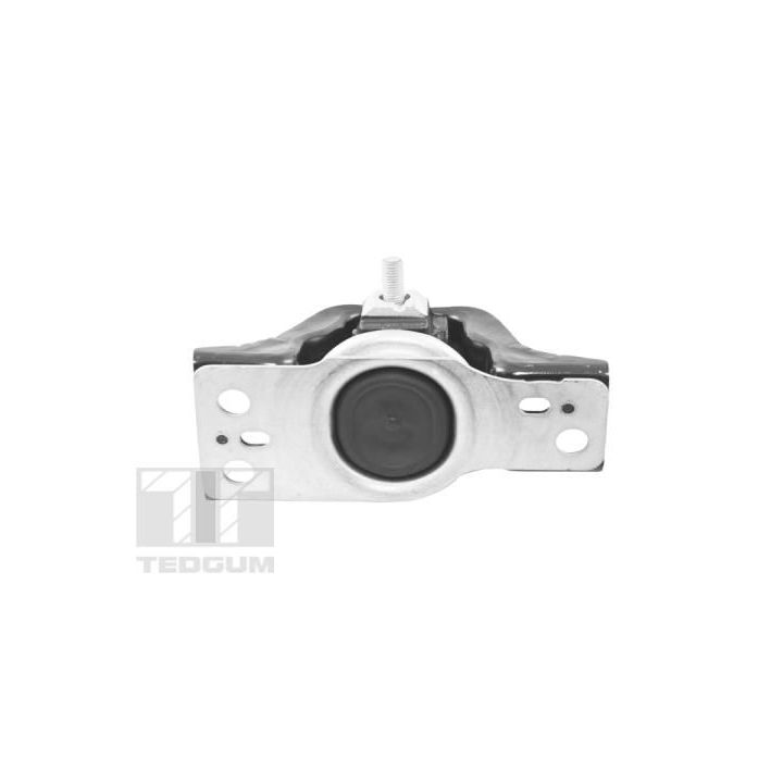 Variklio montavimas TEDGUM TED84297
