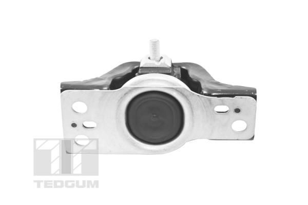Variklio montavimas TEDGUM TED84297