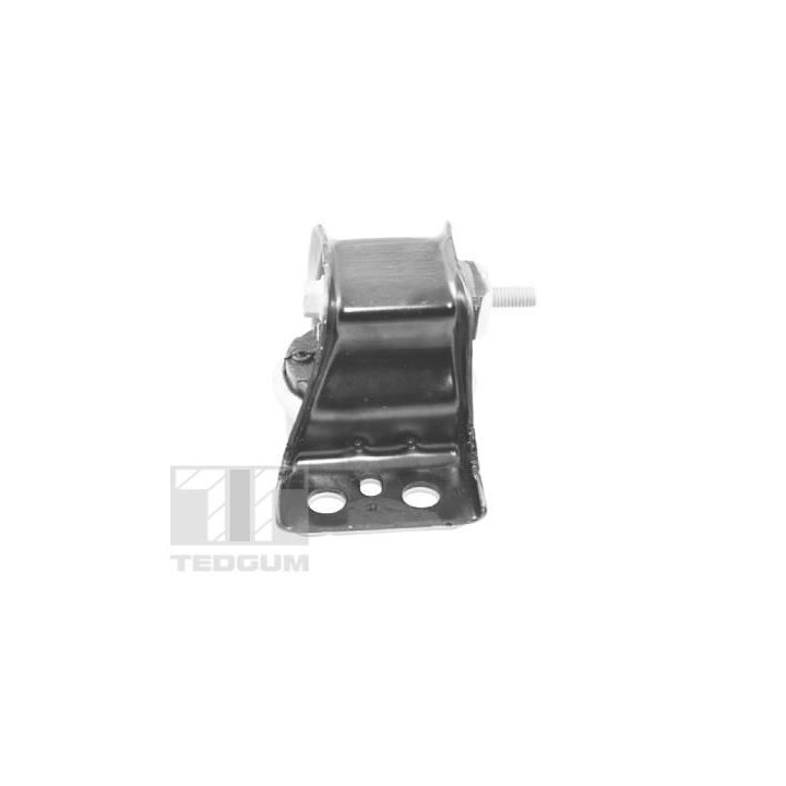 Variklio montavimas TEDGUM TED84297
