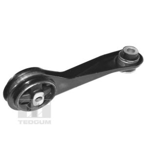 Variklio montavimas TEDGUM TED84313