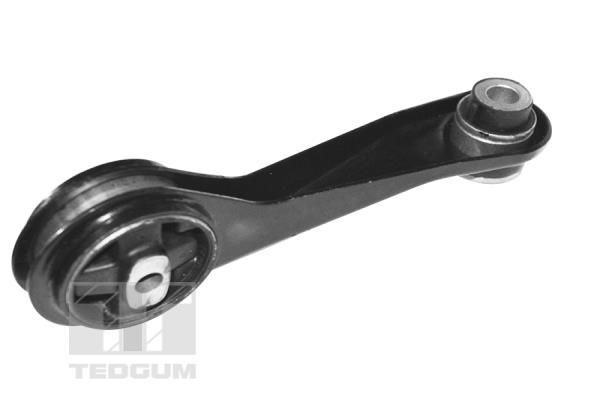 Variklio montavimas TEDGUM TED84313