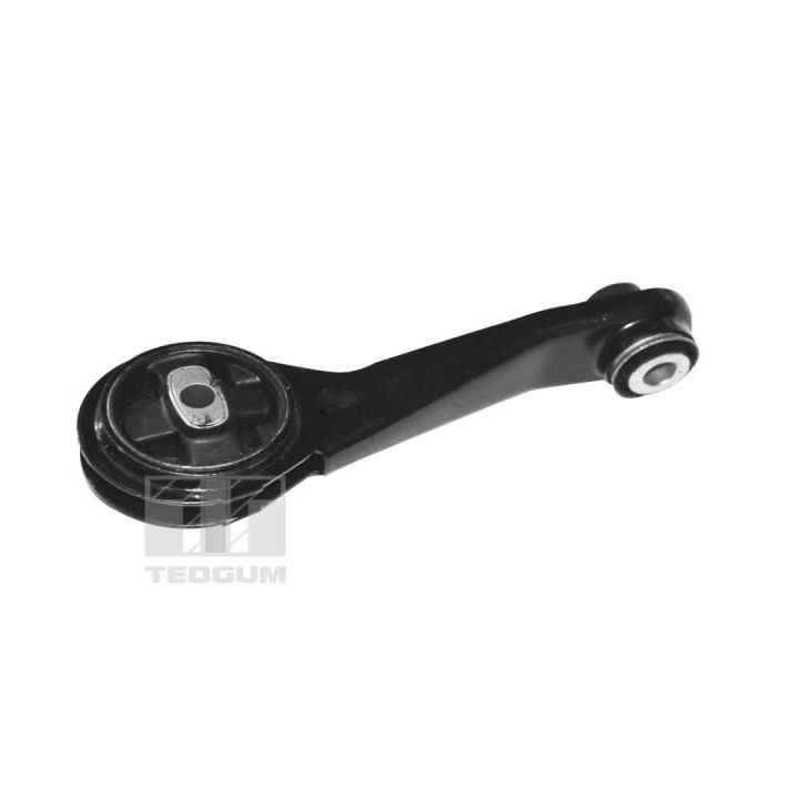 Variklio montavimas TEDGUM TED84313