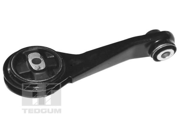 Variklio montavimas TEDGUM TED84313