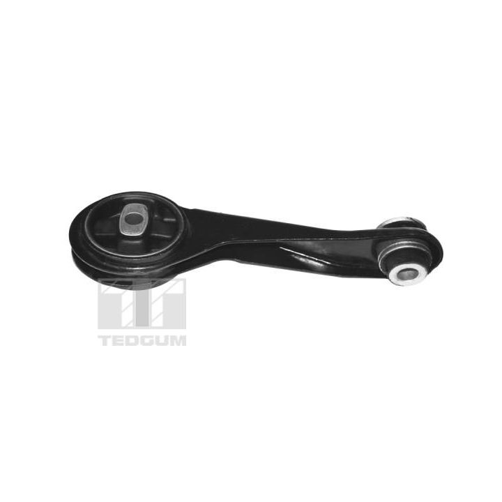 Variklio montavimas TEDGUM TED84313