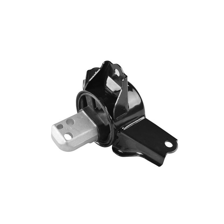 Variklio montavimas TEDGUM TED86789