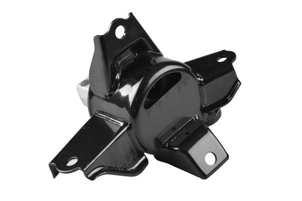 Variklio montavimas TEDGUM TED86789