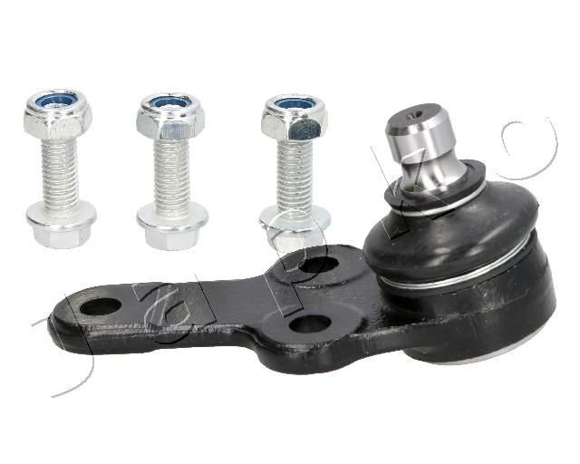 Šarnyras / girgždukas JAPKO 73300