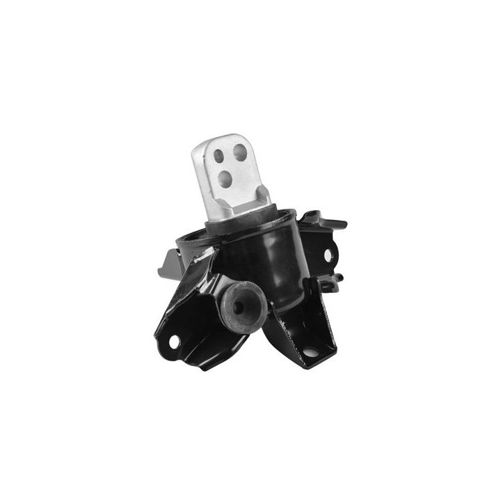 Variklio montavimas TEDGUM TED86789