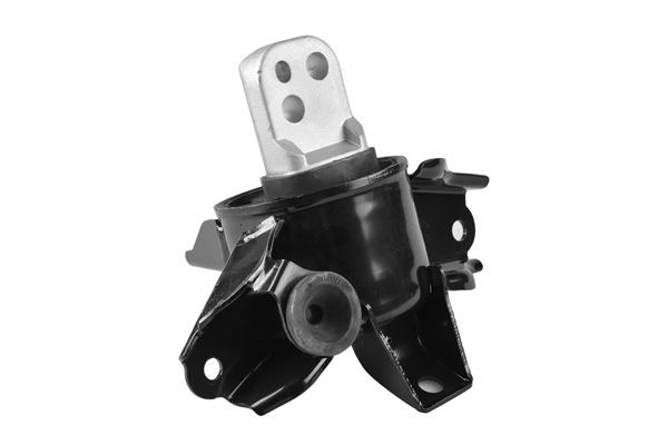 Variklio montavimas TEDGUM TED86789