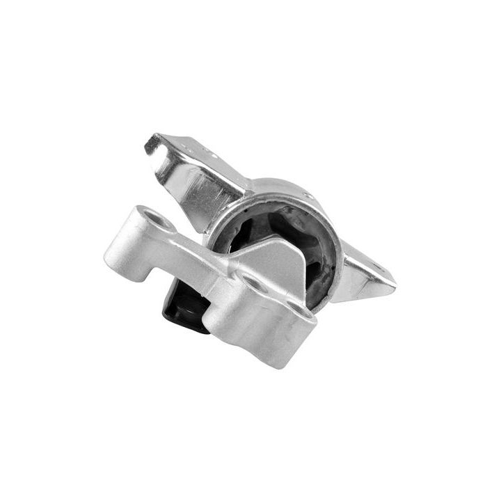 Variklio montavimas TEDGUM TED93543